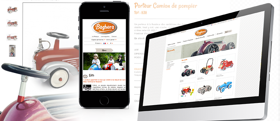 Baghera e-commerce multi-domaine