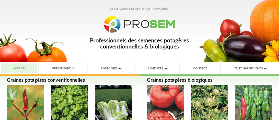 Prosem