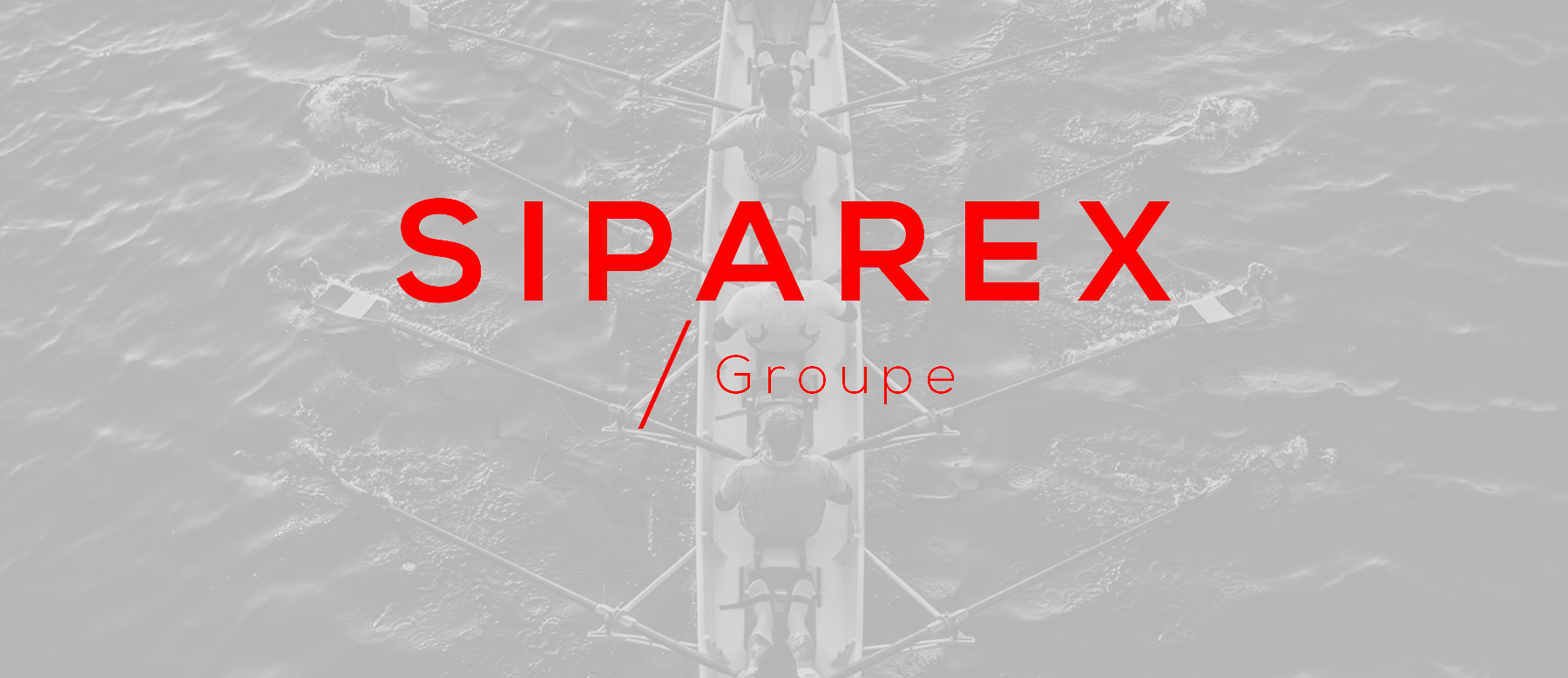 Siparex